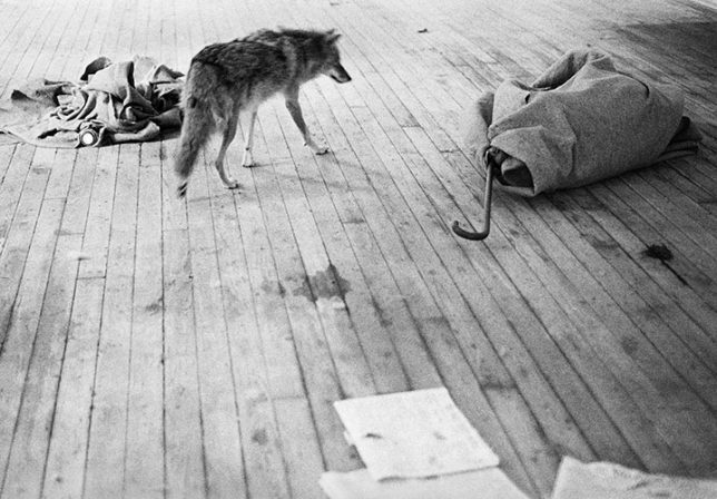 10 Things You Should Know About Joseph Beuys Artsper