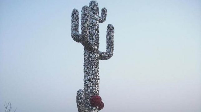 subodh gupta cactus installation