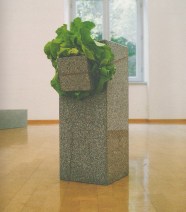 Arte Povera Mouvement Artistique DSALJB