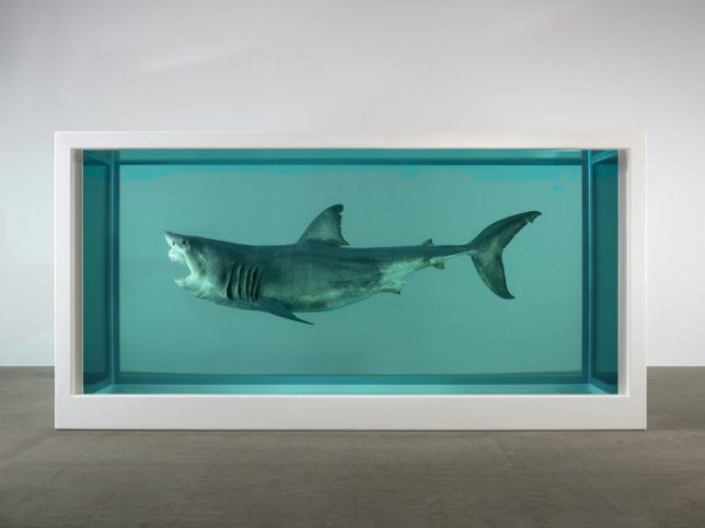 Damien Hirst, The Physical Impossibility of Death in the Mind of Someone Living (1991)