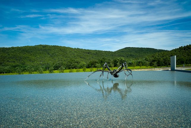 Louise Bourgeois, Crouching Spider, Château La Coste