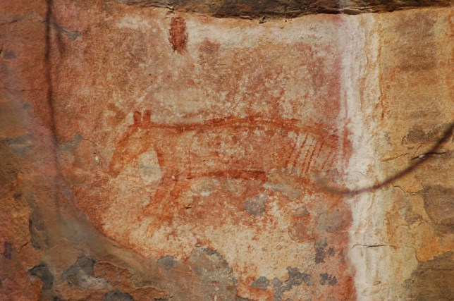 Rock art, Tasmanian tiger