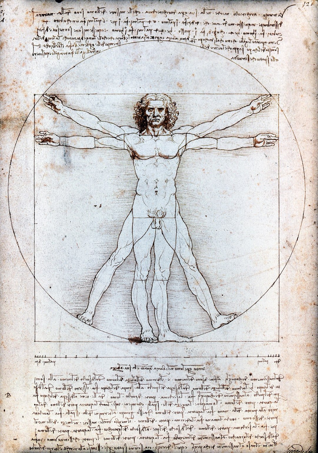 The Ancient Greek Canon of Proportions Artsper Magazine
