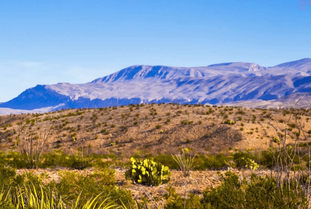 A New Mexican landscape showcasing the barren terrain