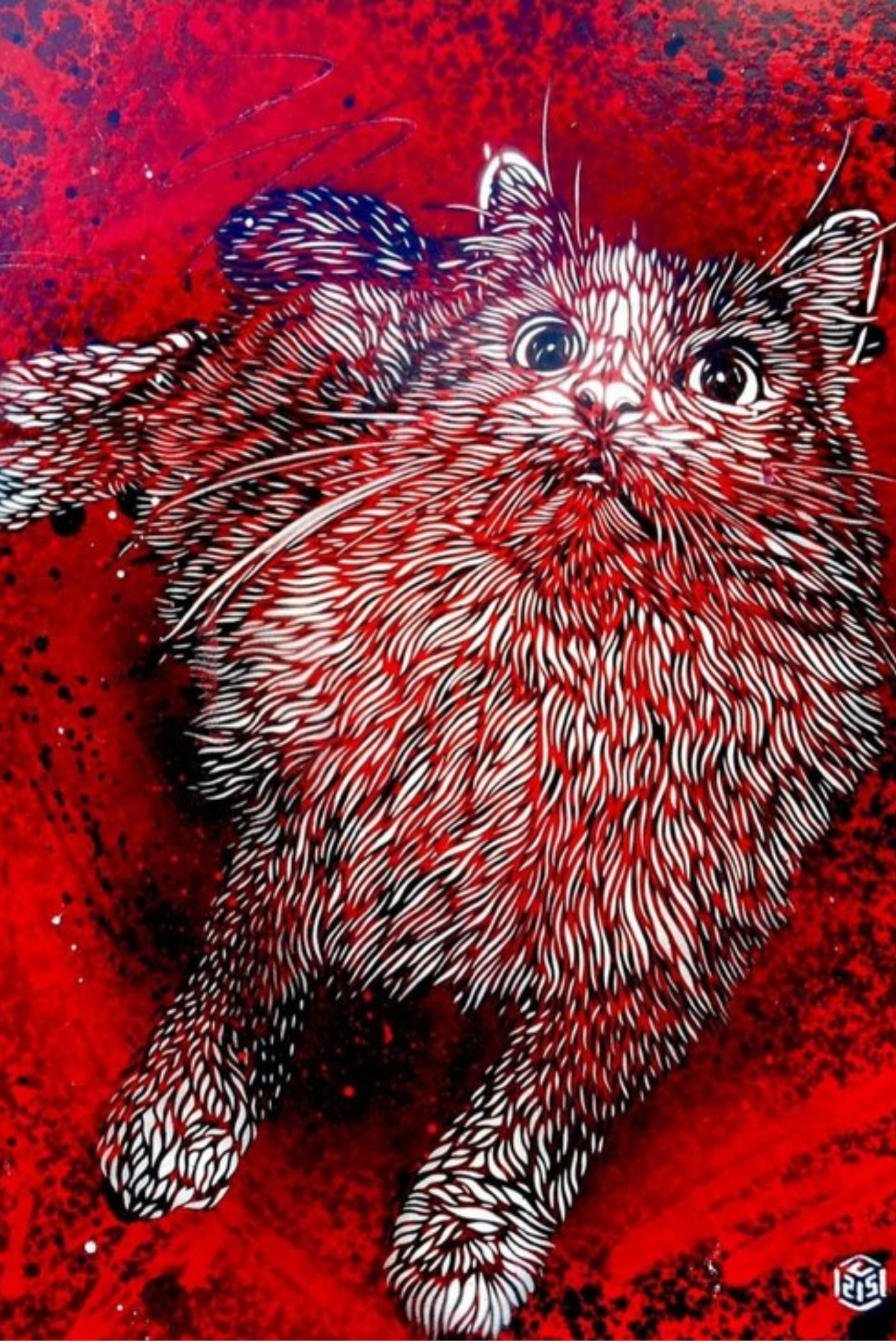 C215, Red Red Wine, 2024